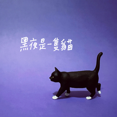 黑夜是一只猫