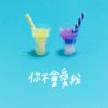 你不会爱我