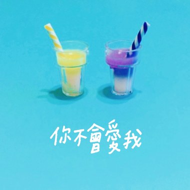 你不会爱我