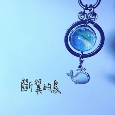 断翼的鸟