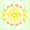Seed