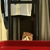 4089___华丽钱猜。