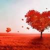 LOV394