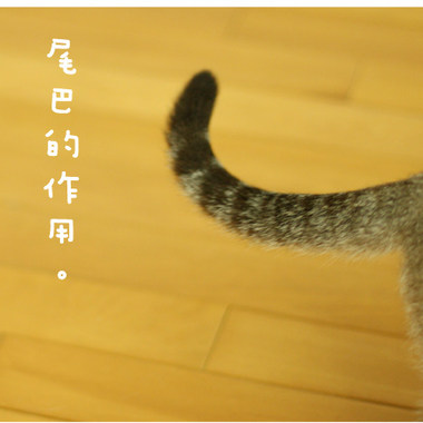 你是我的