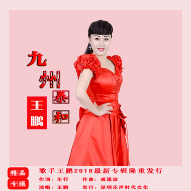 王鹏-九州泰和