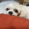 搭拉搭滴哒