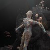 The MOLD