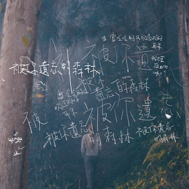 【被你遗忘的森林】暖炉不插电版