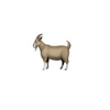 GOAT?