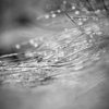 Stream Of Time
