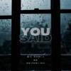 你说 YOU SAID (DEMO)