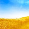 windows xp welcome